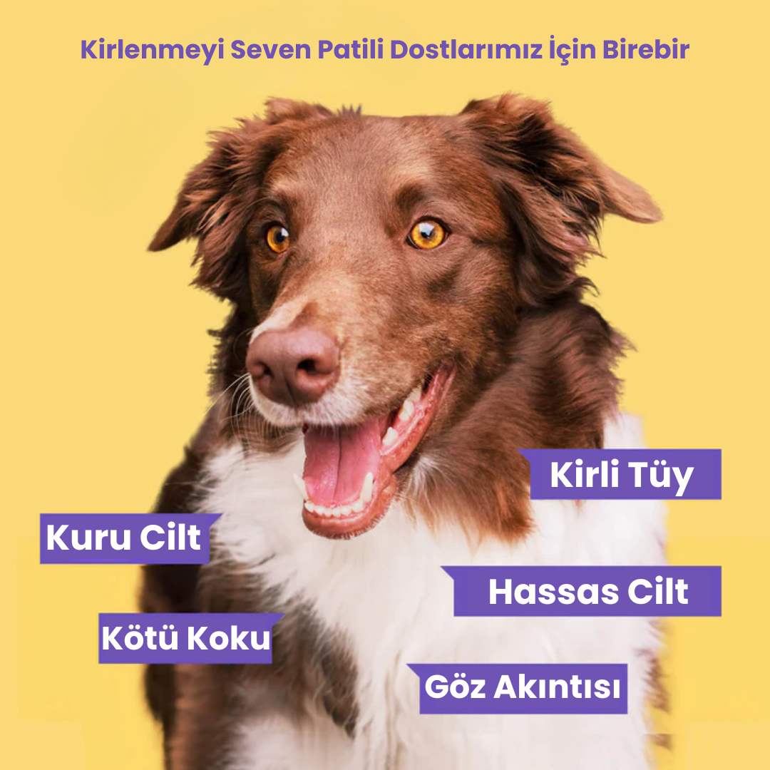 PurePaw Evcil Hayvanlar İçin Koku Giderici Eldiven Mendil